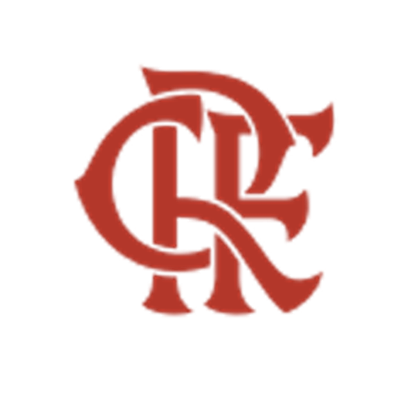 Flamengo Nação solidária logo