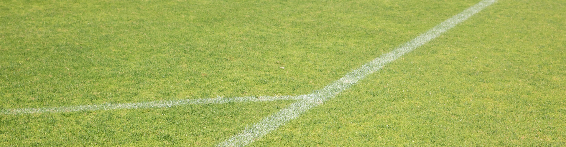 Burton Albion header image