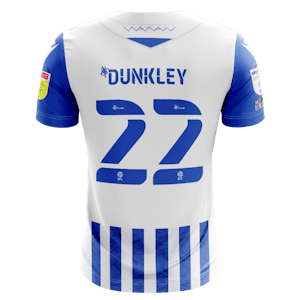Moses Odubajo  Sheffield Wednesday jersey