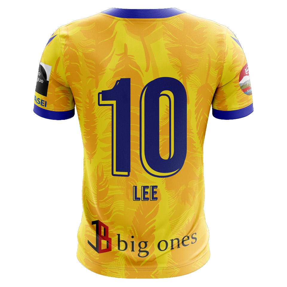 Seung-Woo Lee STVV shirt