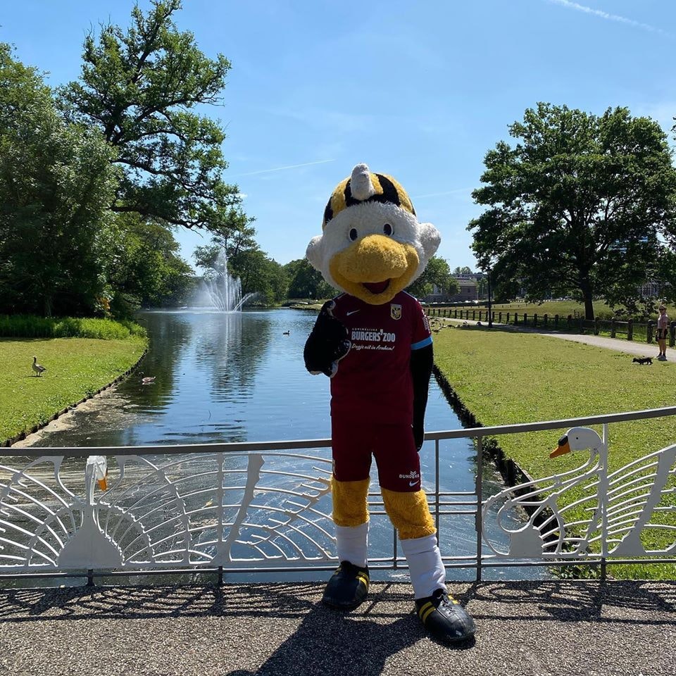 Mascot meet & greet