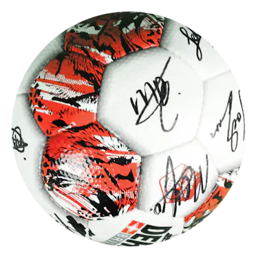 Signed ball 