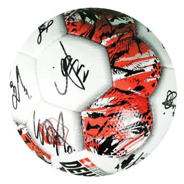 Signed ball 