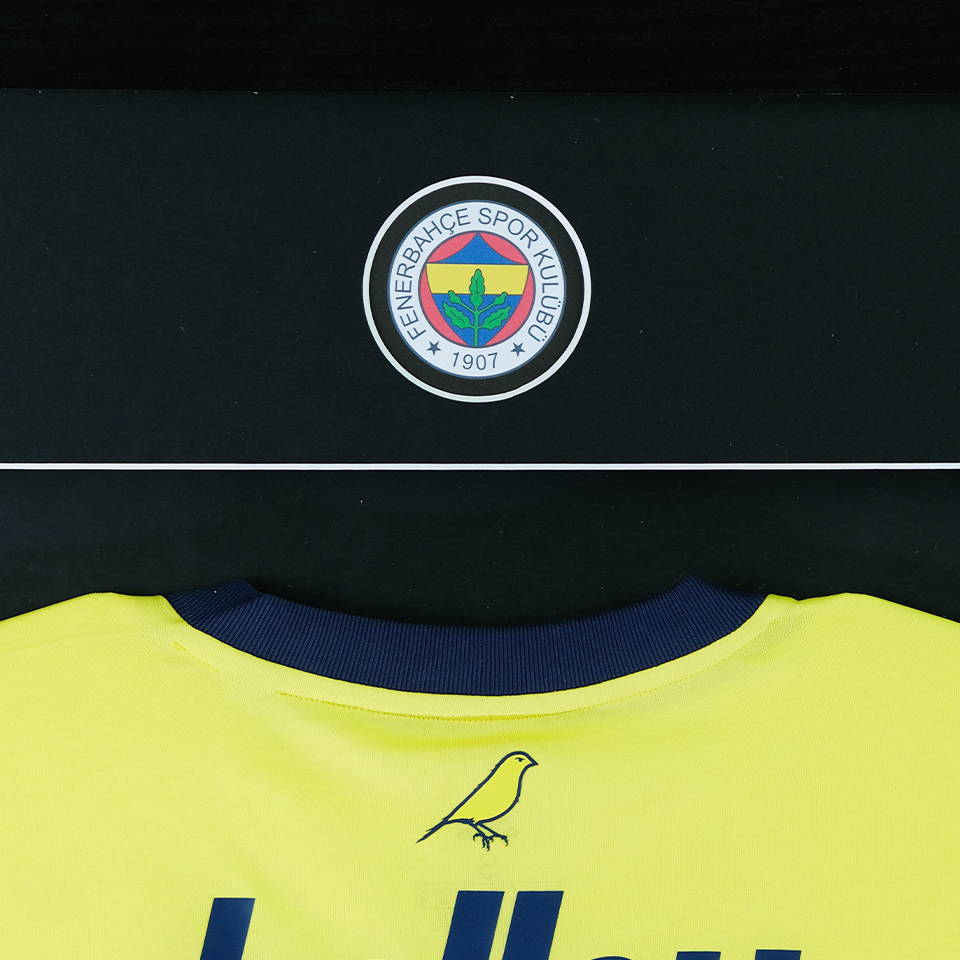Mert Hakan Frame