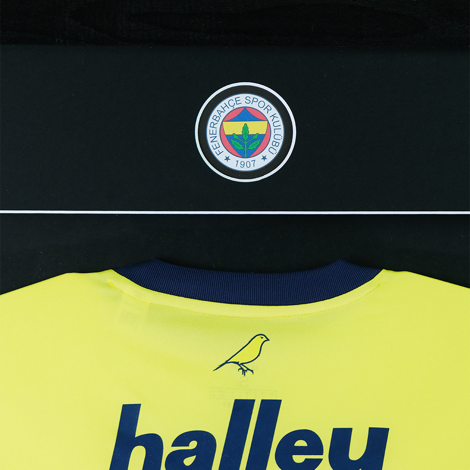 Gökhan Gönül Frame