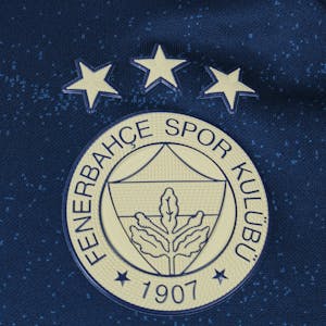 Luiz Gustavo  Fenerbahçe shirt