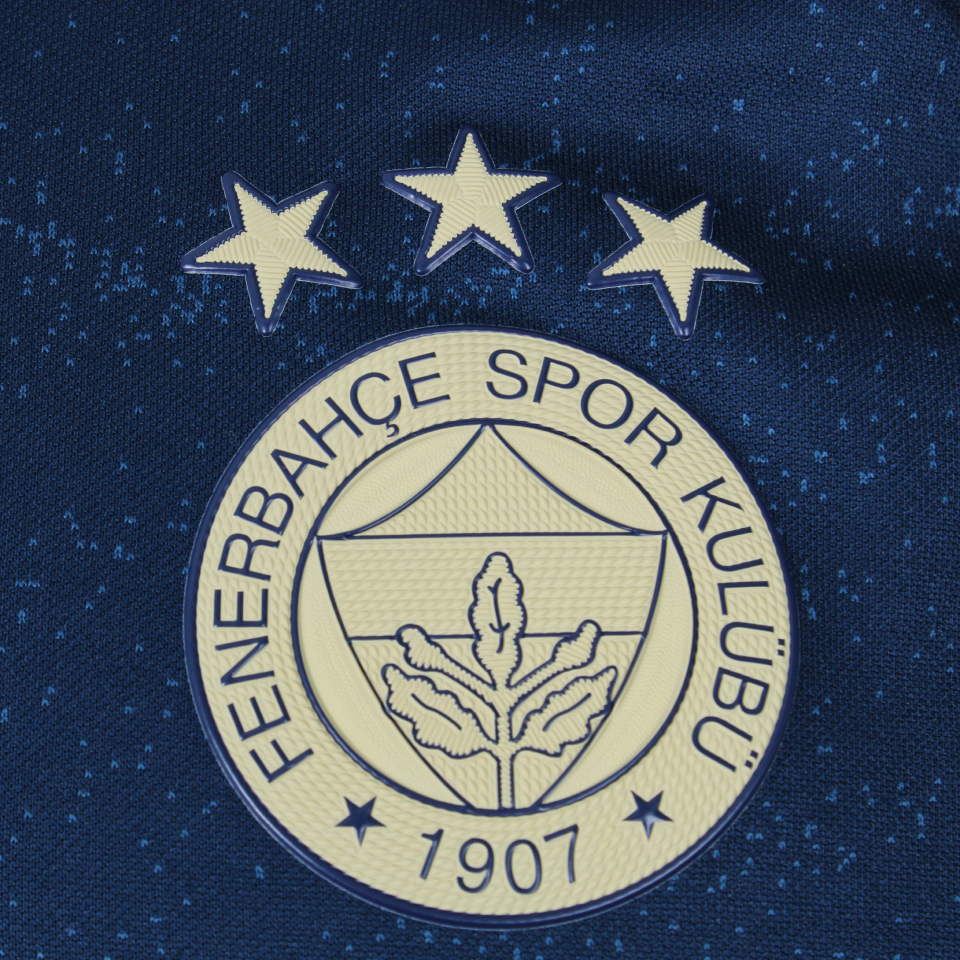 Luiz Gustavo  Fenerbahçe shirt