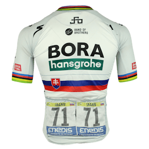 Peter Sagan