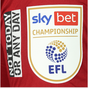 Kasey Palmer Bristol City shirt