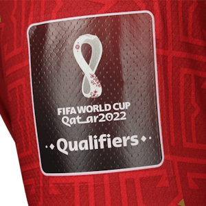 Nemanja Gudelj Serbia jersey