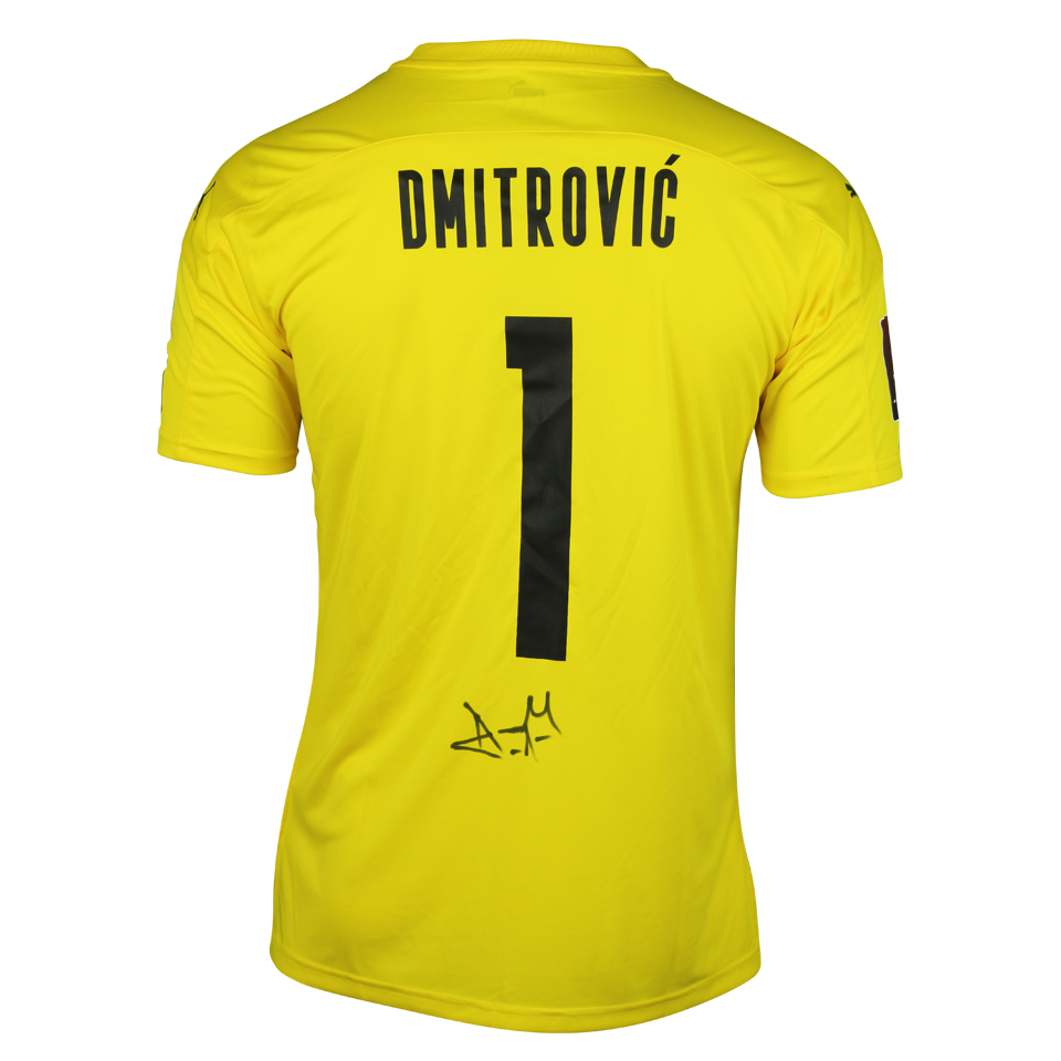 Marko Dmitrović Serbia shirt