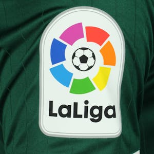 Raúl Lizoáin Cruz CD Mirandés shirt
