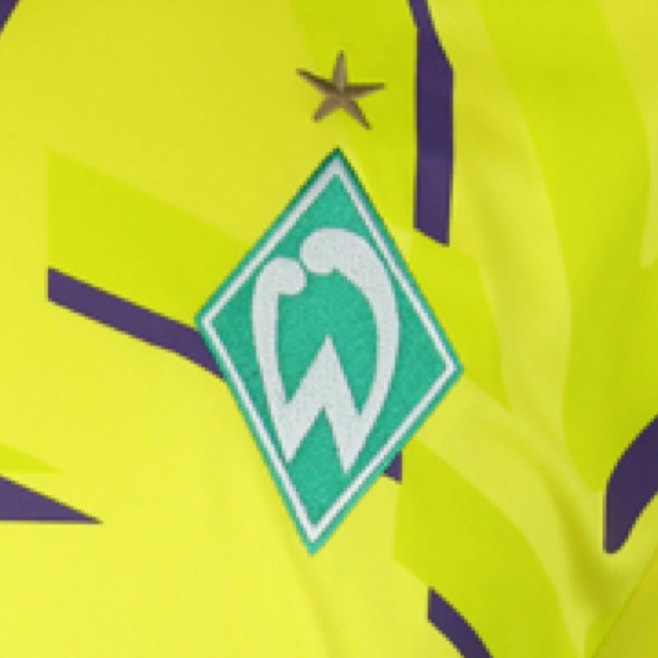 Jiří Pavlenka Werder Bremen forması