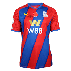 Christian Benteke Crystal Palace shirt