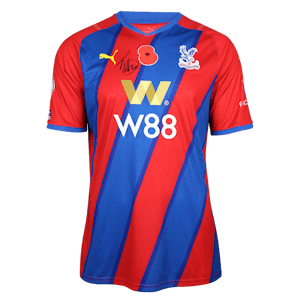 Maillot de Christian Benteke (Crystal Palace)