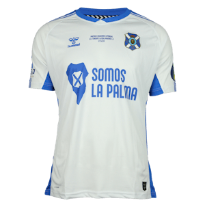 Luis Miguel Ramis