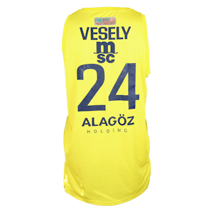 Jan Veselý