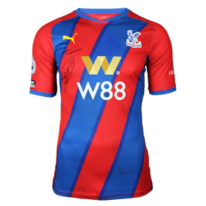 Joel Ward Crystal Palace jersey