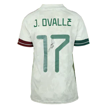 Lizbeth Jacqueline Ovalle Muñoz | v. Suriname