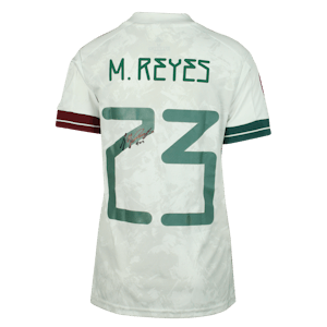 Maricarmen Reyes Zárate | v. Suriname
