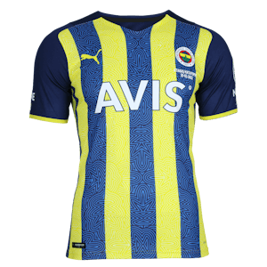 Miguel Crespo Fenerbahçe shirt