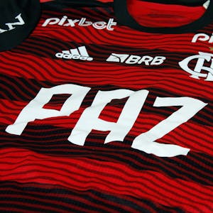 Filipe Luis Flamengo shirt
