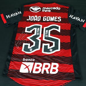 João Gomes Flamengo jersey