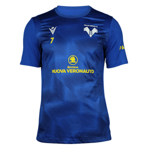 Antonín Barák Hellas Verona FC forması