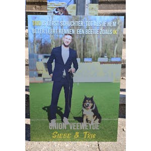 Siebe Van der Heyden | 44 x Trio
