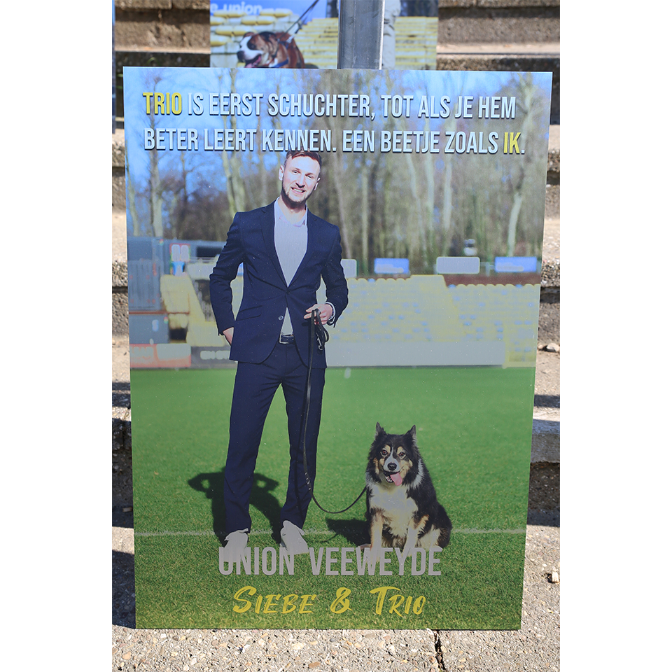 Siebe Van der Heyden | 44 x Trio