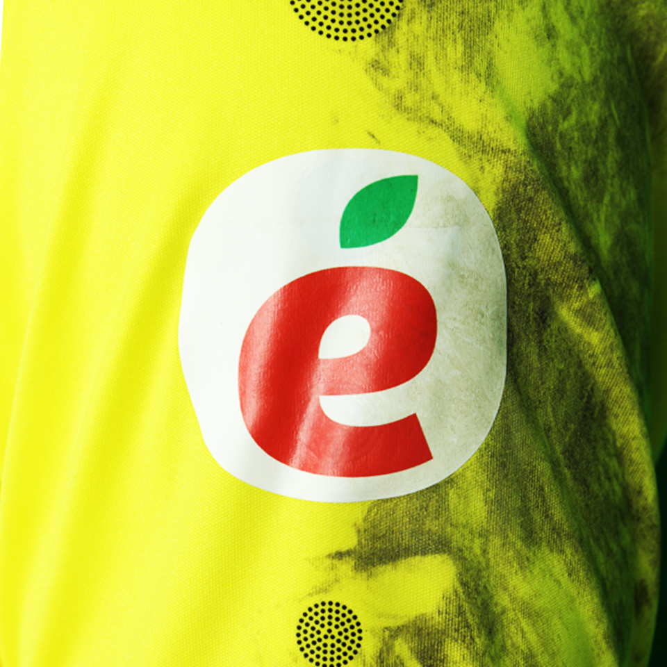 Warner Hahn SC Heerenveen shirt