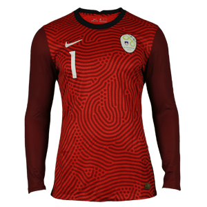 Jan Oblak Slovenia jersey