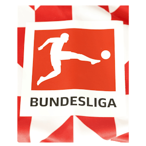 Daniel Brosinski Mainz 05 shirt