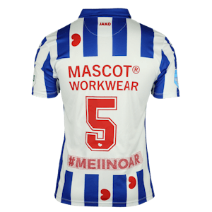Unique shirt - home v. Willem II 