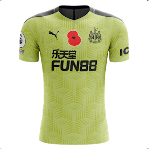 Jeff Hendrick Newcastle United shirt