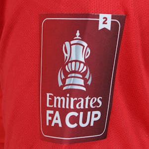 Will Grigg Sunderland shirt