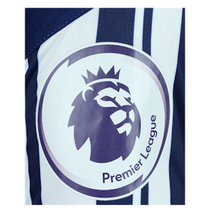 Karlan Grant West Bromwich Albion shirt