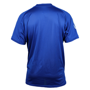 Dick Advocaat