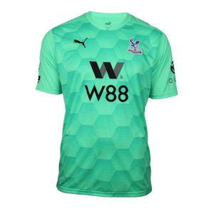 Vicente Guaita  Crystal Palace jersey