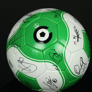 Gesigneerde Bal