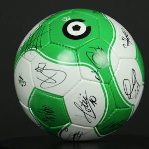 Gesigneerde Bal